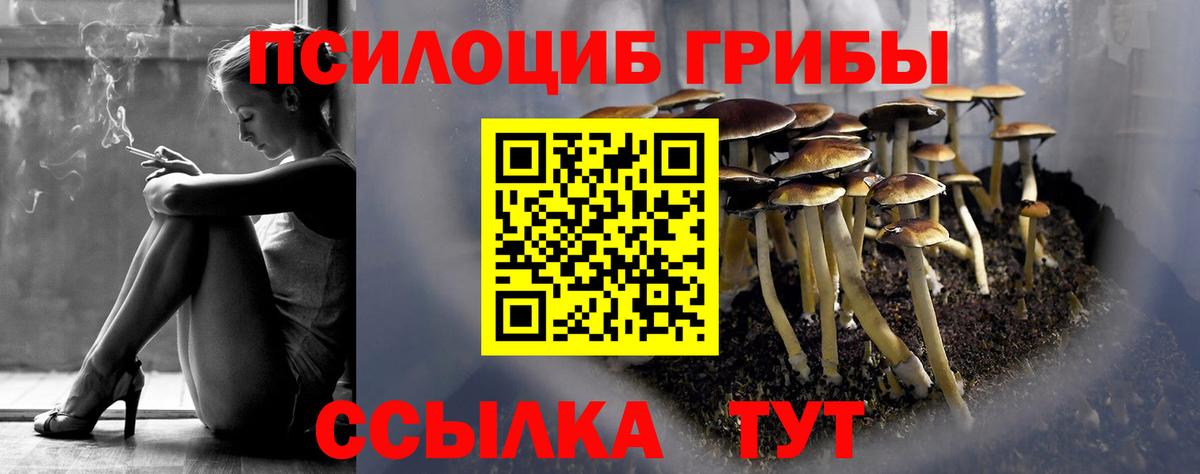 Ялуторовск  Галлюциногенные грибы мухоморы  Вход с VPN 
